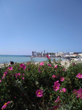 Stanze nel verde Porto Cesareo